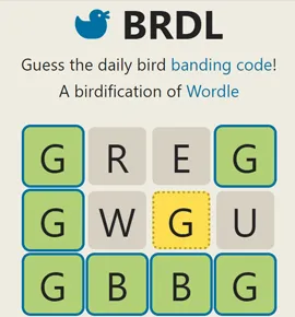Brdl