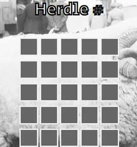 Herdle